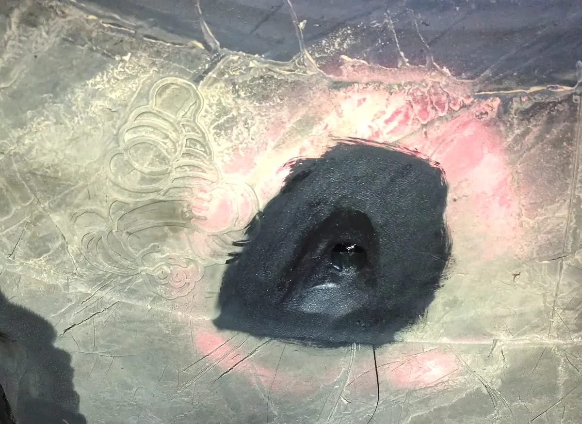 Zone intérieure travaillée autour d’une blessure de pneumatique